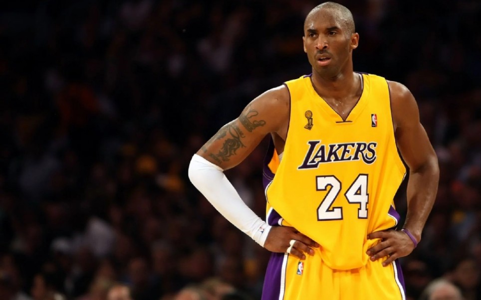 不牺牲观赏 不牺牲观赏